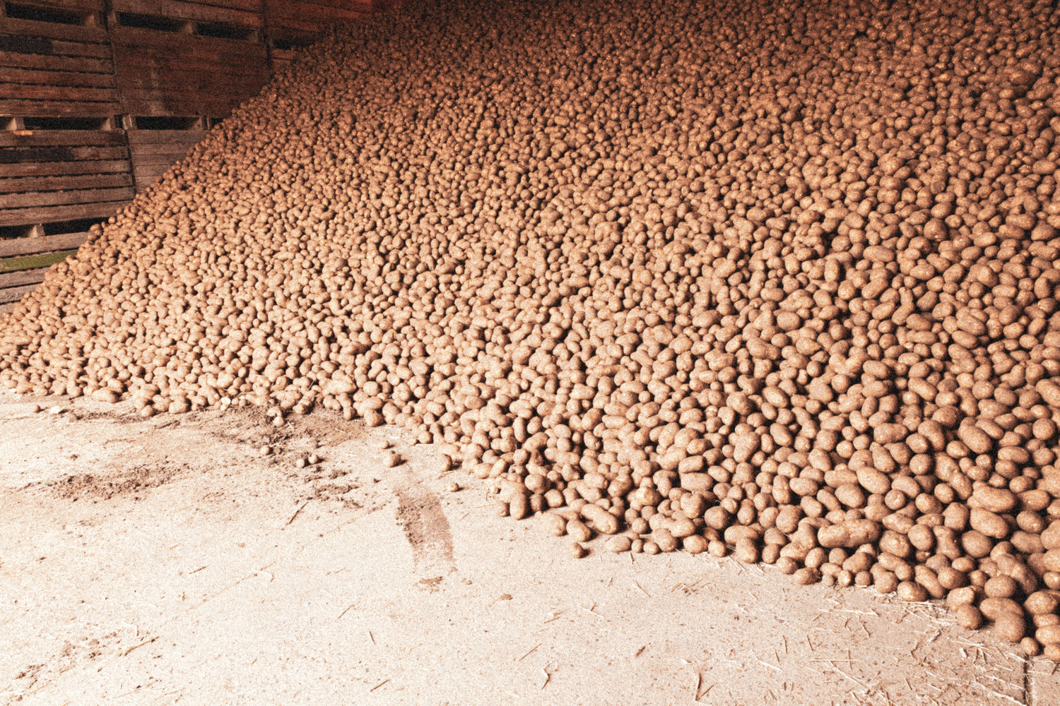 HPYE0M_bearbeitet.jpg__PID:38fe6829-c8f7-438d-91a3-ac3c7bd2a1c1